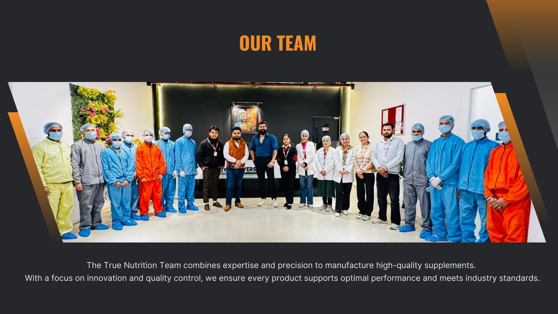 Our Team